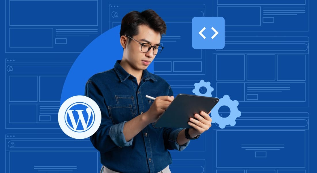WordPress plugins development
